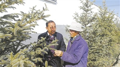 赵全录，种绿一个村