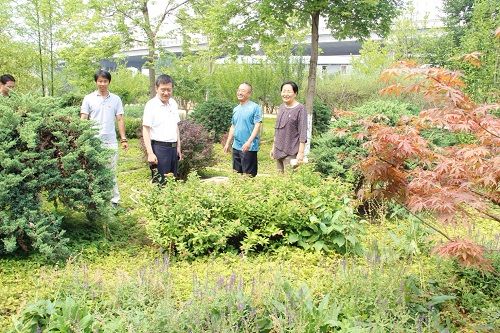 北京市园林绿化局邓乃平同志到十三陵林场 林业生产一线走访调研