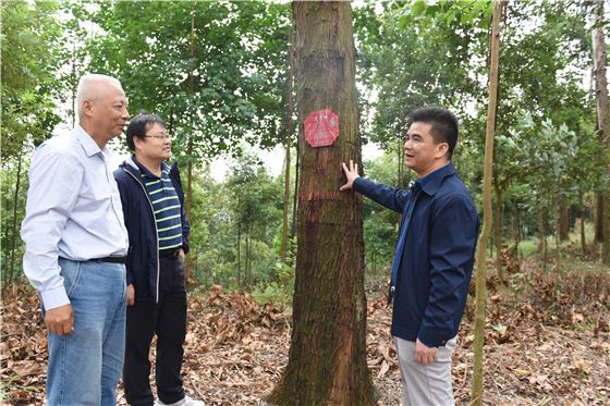 全国80多名林业与草原土壤专家在七坡林场考察