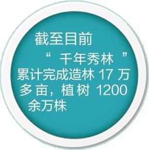 13.8万亩！“千年秀林”新一期项目启动