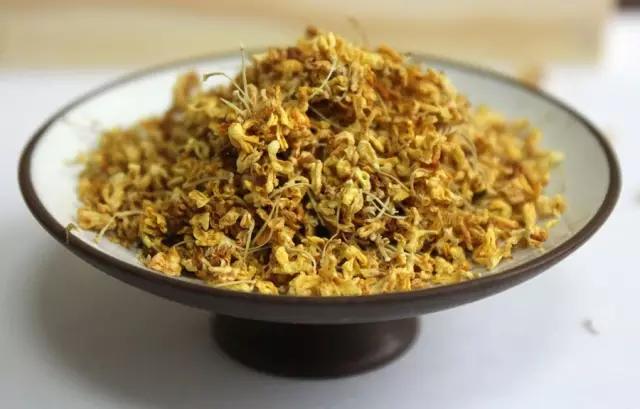 苗木百科---桂花