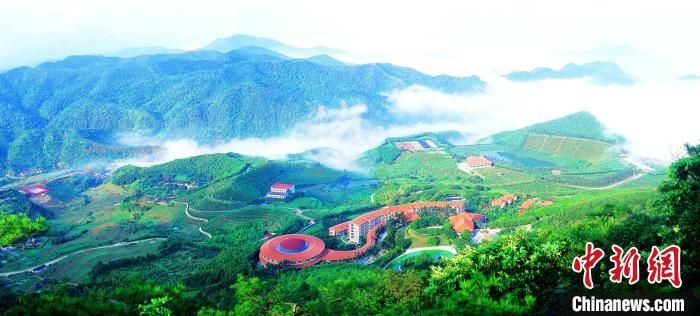 广东推出3条精品森林旅游线路