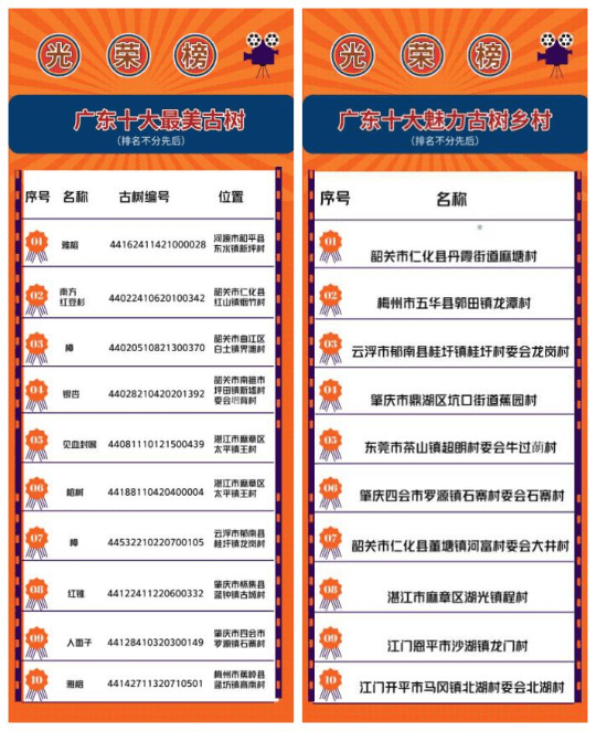 广东十大最美古树和十大魅力古树乡村名单出炉