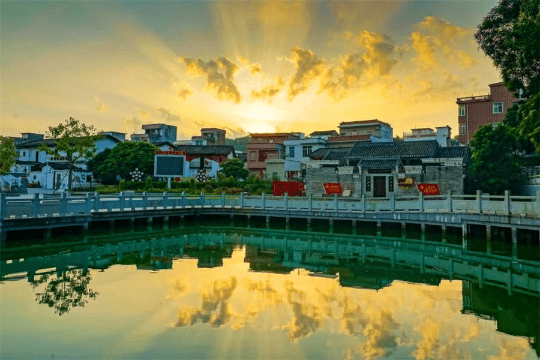 广东十大最美古树和十大魅力古树乡村名单出炉
