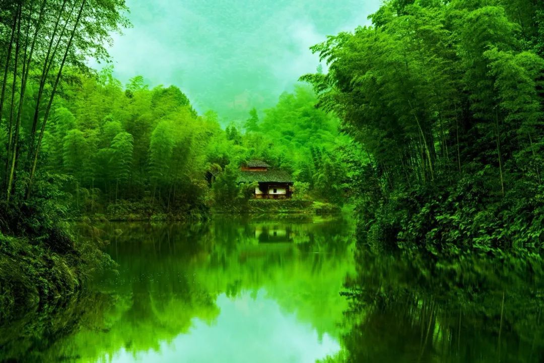 森呼吸，森林是氧吧