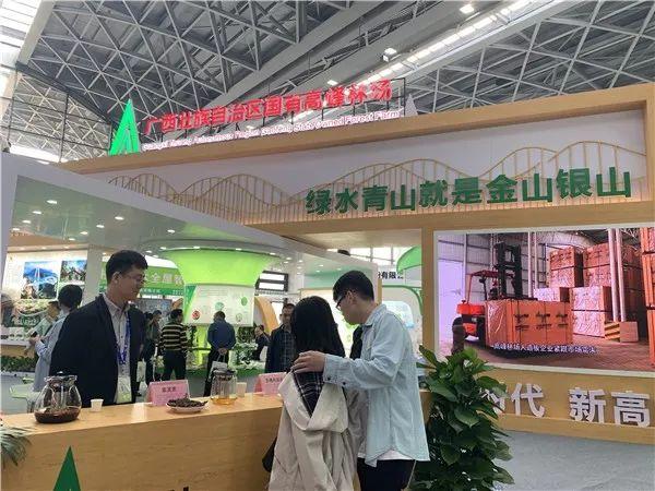 看点｜2019中国—东盟博览会林木展在南宁开幕 20种名贵兰花亮相