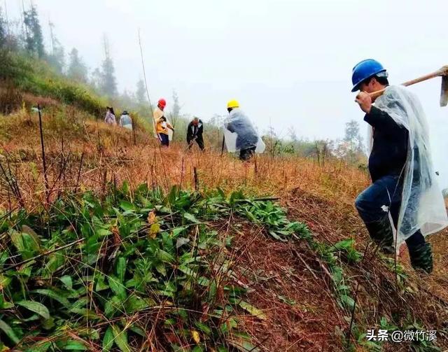 头顶林业生态建设国家级荣誉称号9个！厉害了，竹溪！