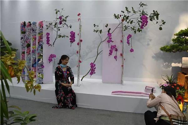 看点｜2019中国—东盟博览会林木展在南宁开幕 20种名贵兰花亮相