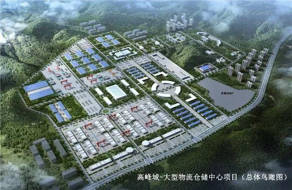 看点｜2019中国—东盟博览会林木展在南宁开幕 20种名贵兰花亮相