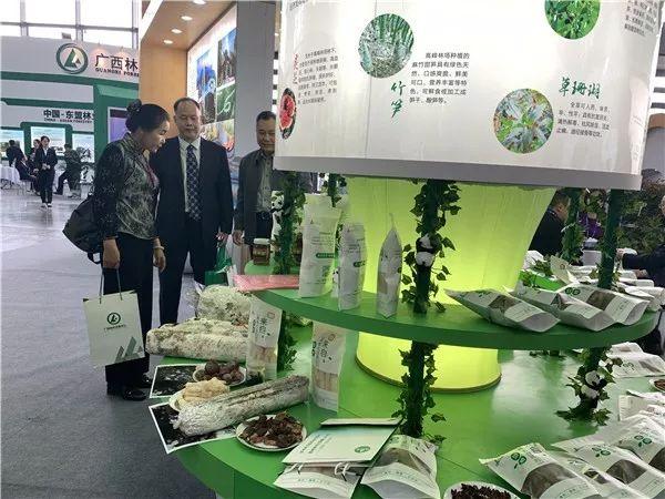 看点｜2019中国—东盟博览会林木展在南宁开幕 20种名贵兰花亮相