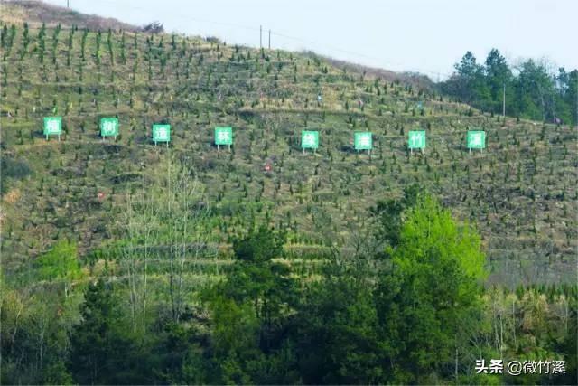 头顶林业生态建设国家级荣誉称号9个！厉害了，竹溪！