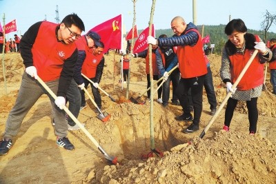 河南：植一棵树　造一片林　增一抹绿
