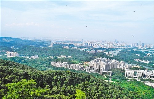 不断提高森林城市建设水平