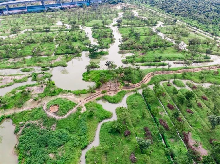 海珠湿地上榜广东省首届国土空间生态修复十大范例