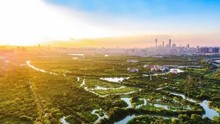 海珠湿地上榜广东省首届国土空间生态修复十大范例