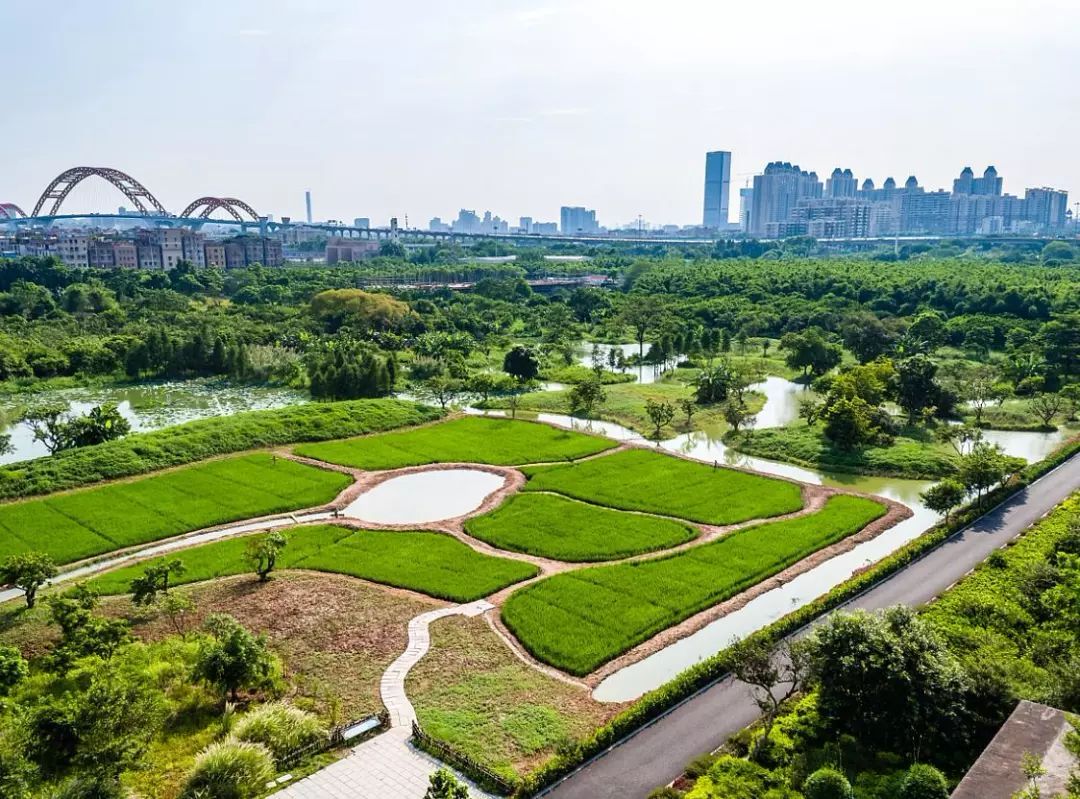 海珠湿地上榜广东省首届国土空间生态修复十大范例