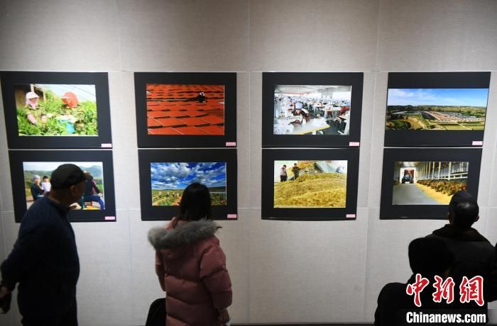 宁夏20年完成退耕还林还草建设1345万亩