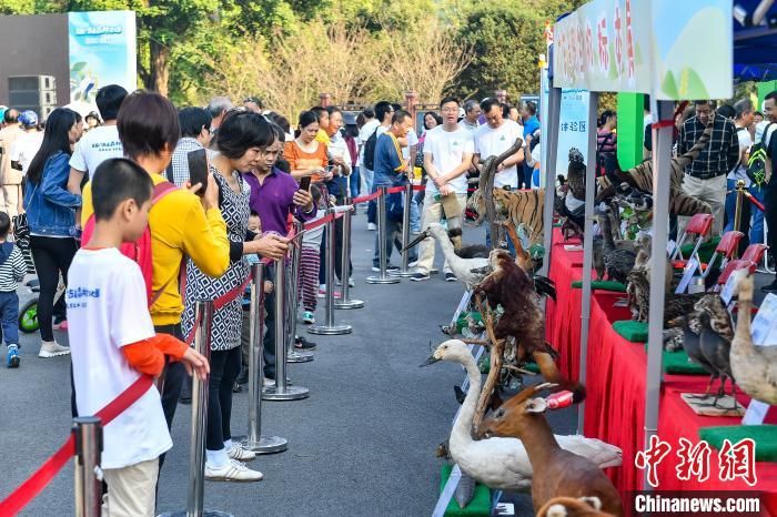 广东启动首届森林文化周　民众乐享生态红利