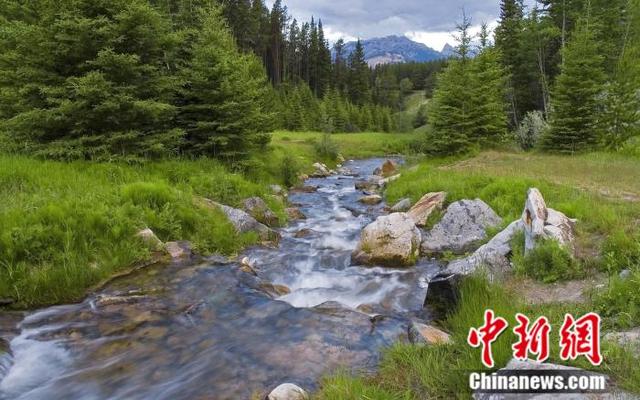 山西黄河湿地公园群成形 构筑沿黄生态安全屏障