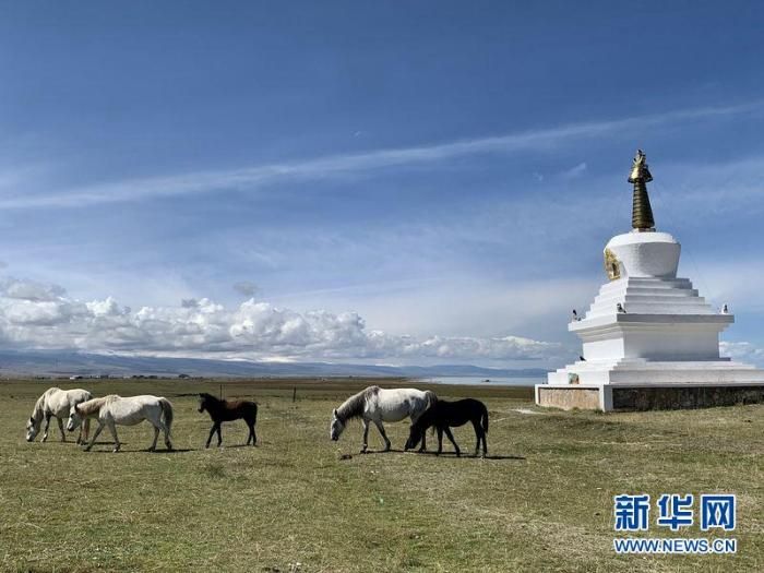 青海致力三江源生态保护共建世界生态文明