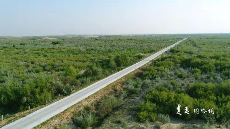 赤峰市探索“治沙＋致富”“生态＋增收”的新路