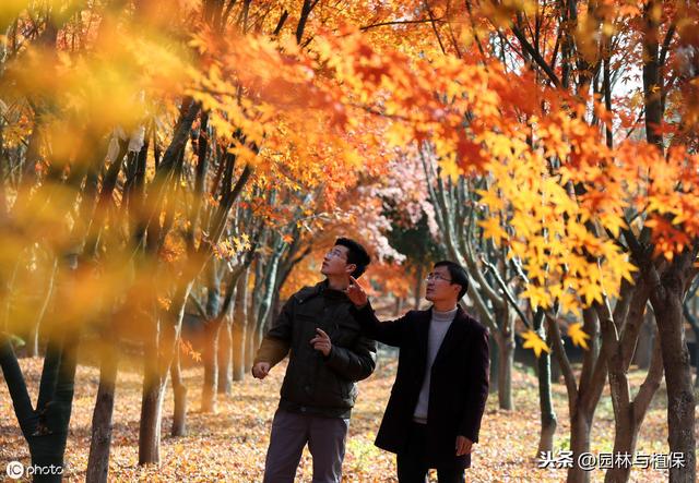 苗木营销新思路：寻找具有相同价值观的人