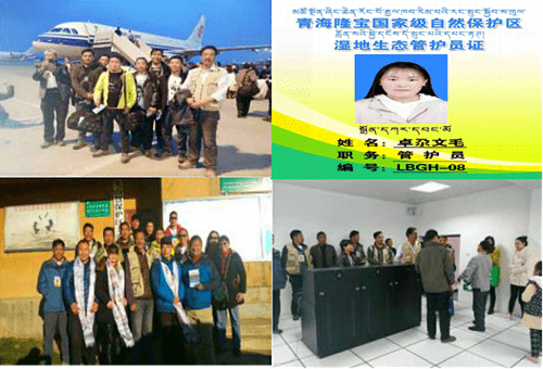 不忘绿色初心，牢记守护使命—新时代不断奋进中的青海隆宝国家级自然保护区