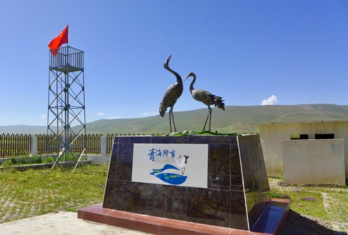 不忘绿色初心，牢记守护使命—新时代不断奋进中的青海隆宝国家级自然保护区