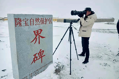不忘绿色初心，牢记守护使命—新时代不断奋进中的青海隆宝国家级自然保护区