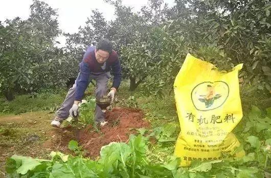 骗人的有机肥一般用这些原料，太恶心了！再便宜也不能要