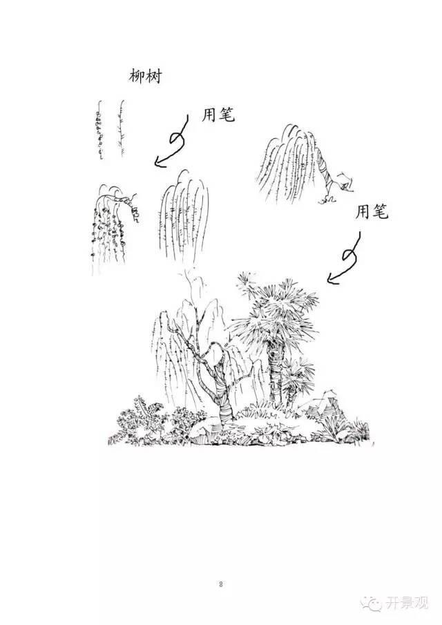 植物图例参考-园林景观植物