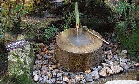 园林建设和健康