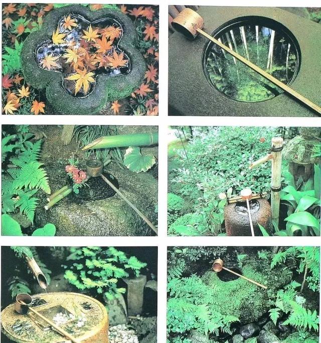 园林建设和健康