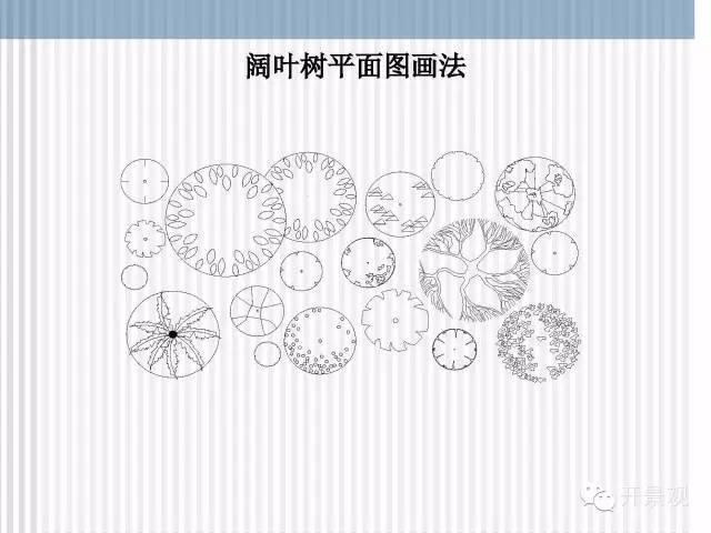 植物图例参考-园林景观植物