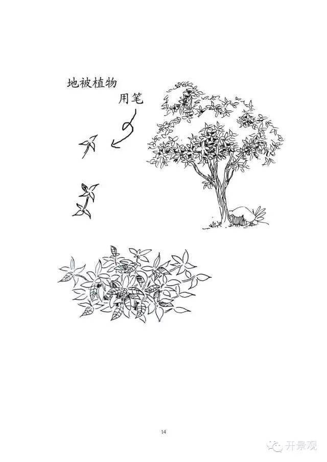 植物图例参考-园林景观植物