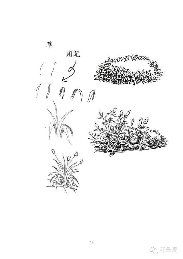 植物图例参考-园林景观植物