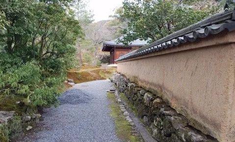 园林建设和健康
