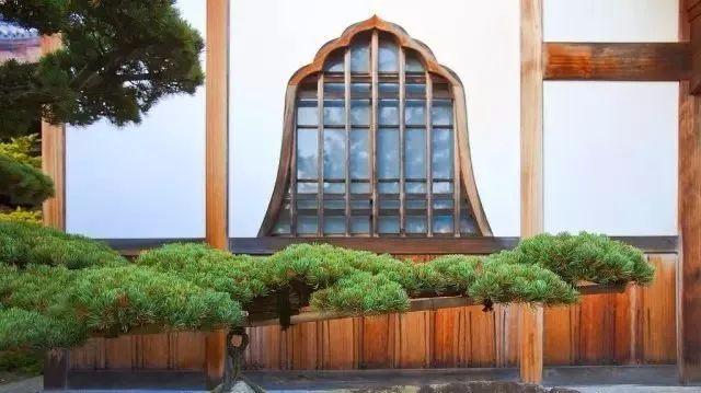园林建设和健康