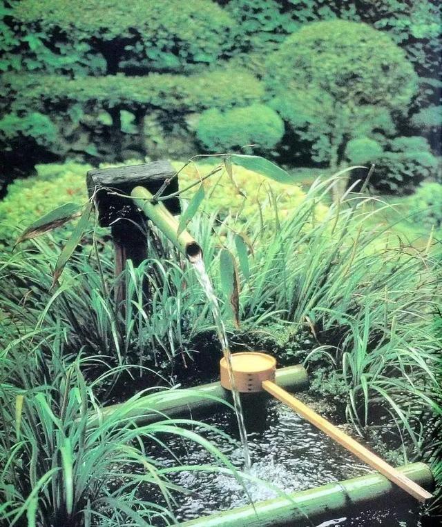 园林建设和健康