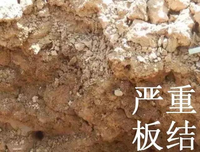 土壤“生病”了！怪不得用那么多肥料也白搭，不容小视