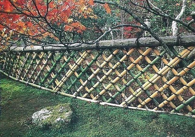园林建设和健康