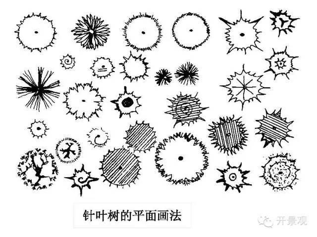 植物图例参考-园林景观植物