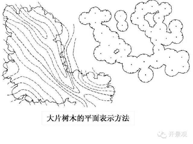 植物图例参考-园林景观植物