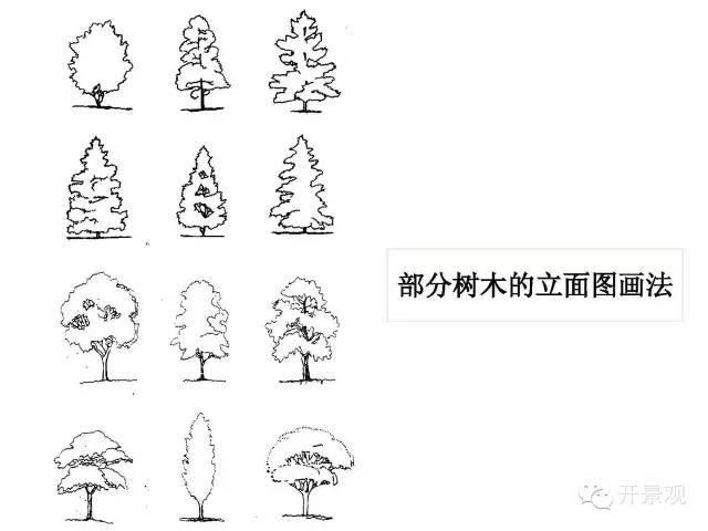 植物图例参考-园林景观植物