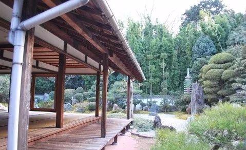园林建设和健康