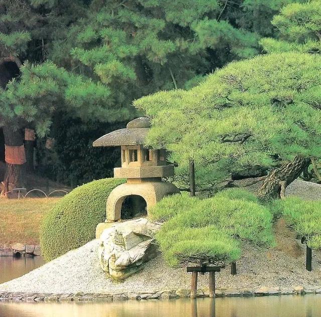 园林建设和健康