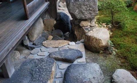 园林建设和健康