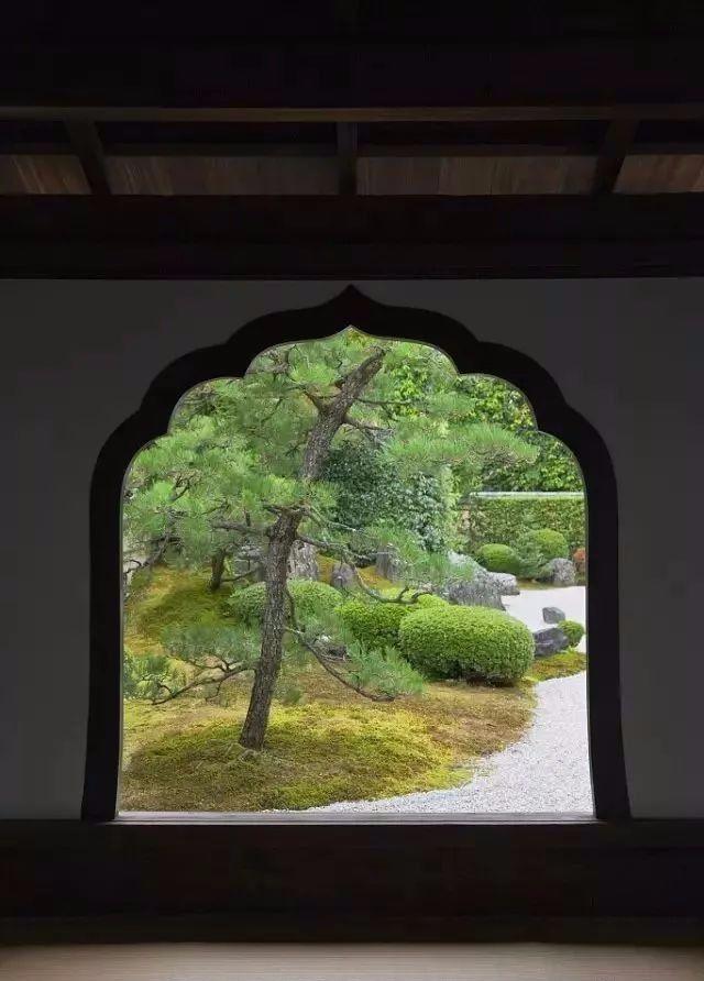 园林建设和健康