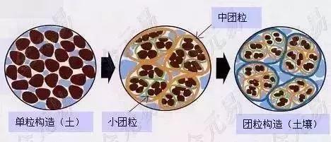 土壤“生病”了！怪不得用那么多肥料也白搭，不容小视