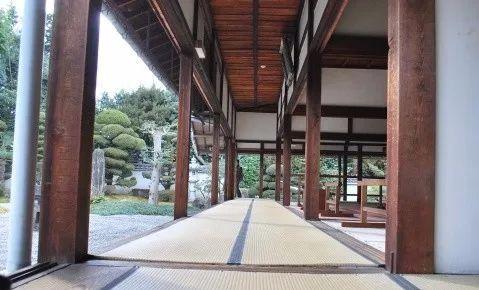 园林建设和健康